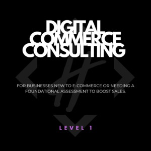 Digital Commerce Consulting Level 1