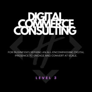 Digital Commerce Consulting Level 3