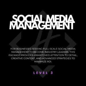Social Media Management Level 3